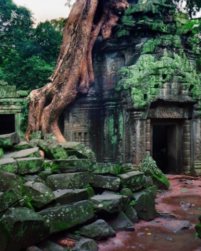 Angkor: Naturaleza y Misticismo